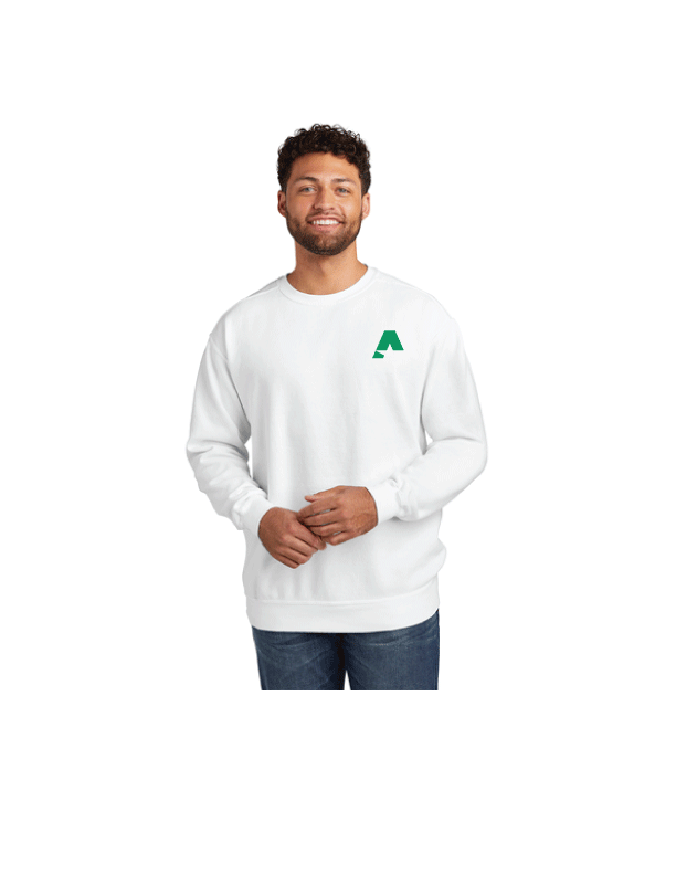 Comfort Colors ® Ring Spun Crewneck Sweatshirt