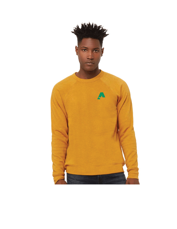 BELLA + CANVAS - Sponge Fleece Raglan Crewneck Sweatshirt