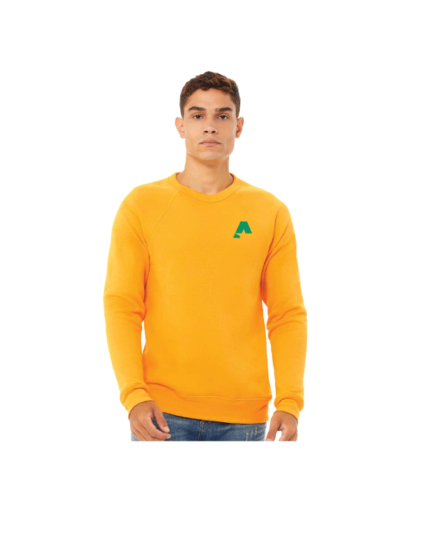 BELLA + CANVAS - Sponge Fleece Raglan Crewneck Sweatshirt