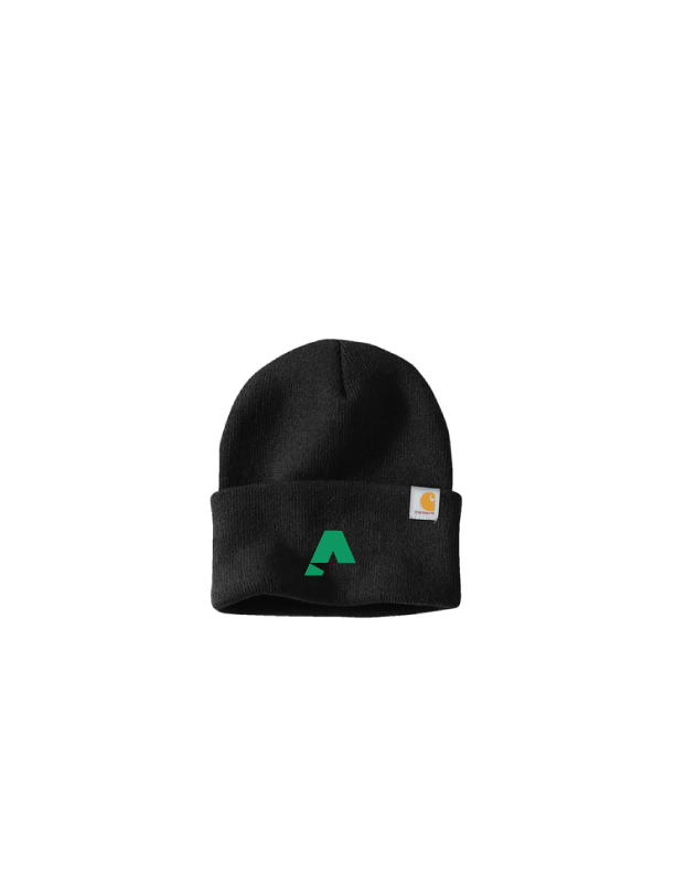 Carhartt® Watch Cap 2.0