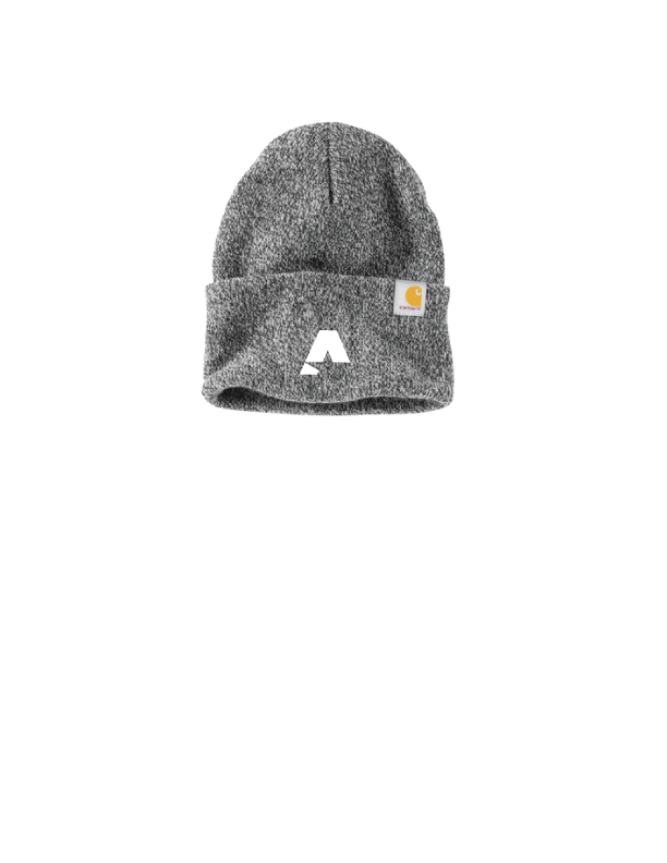 Carhartt® Watch Cap 2.0