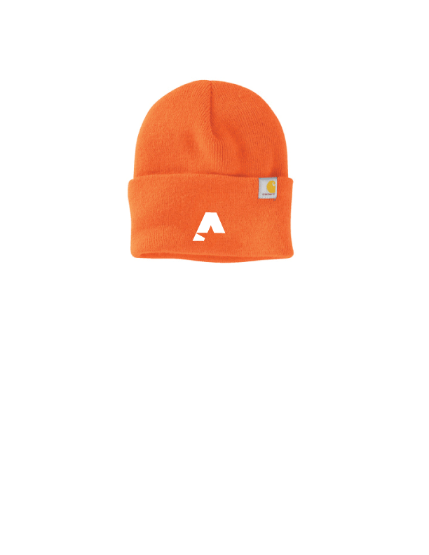 Carhartt® Watch Cap 2.0