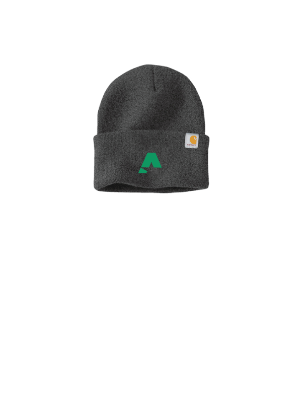 Carhartt® Watch Cap 2.0