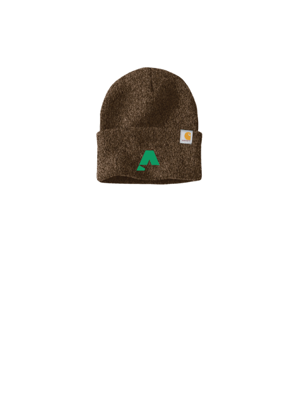 Carhartt® Watch Cap 2.0