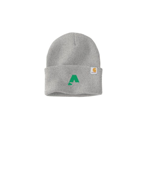 Carhartt® Watch Cap 2.0